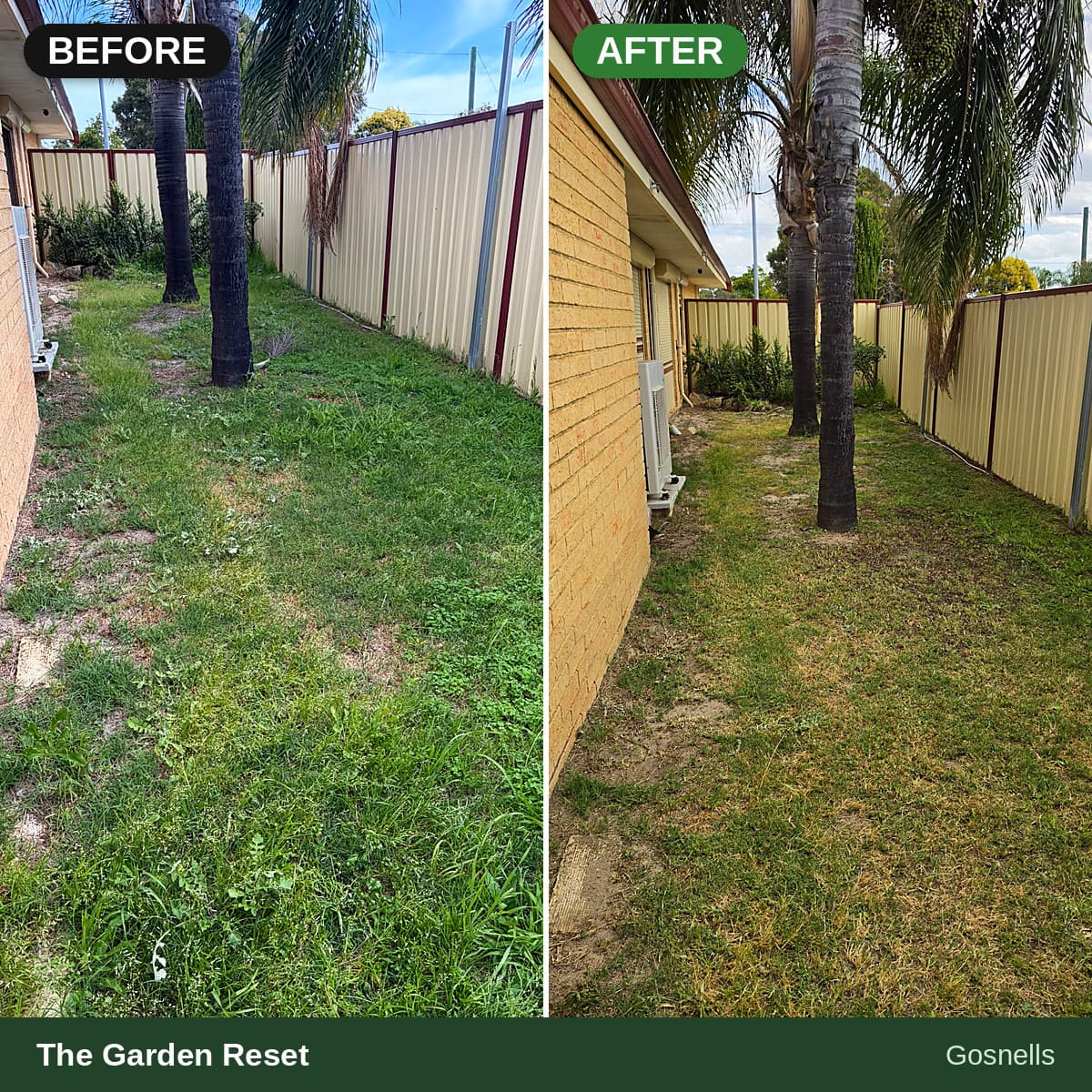 Before and after photos of a side yard showing overgrown weeds transformed into mowed lawn.
